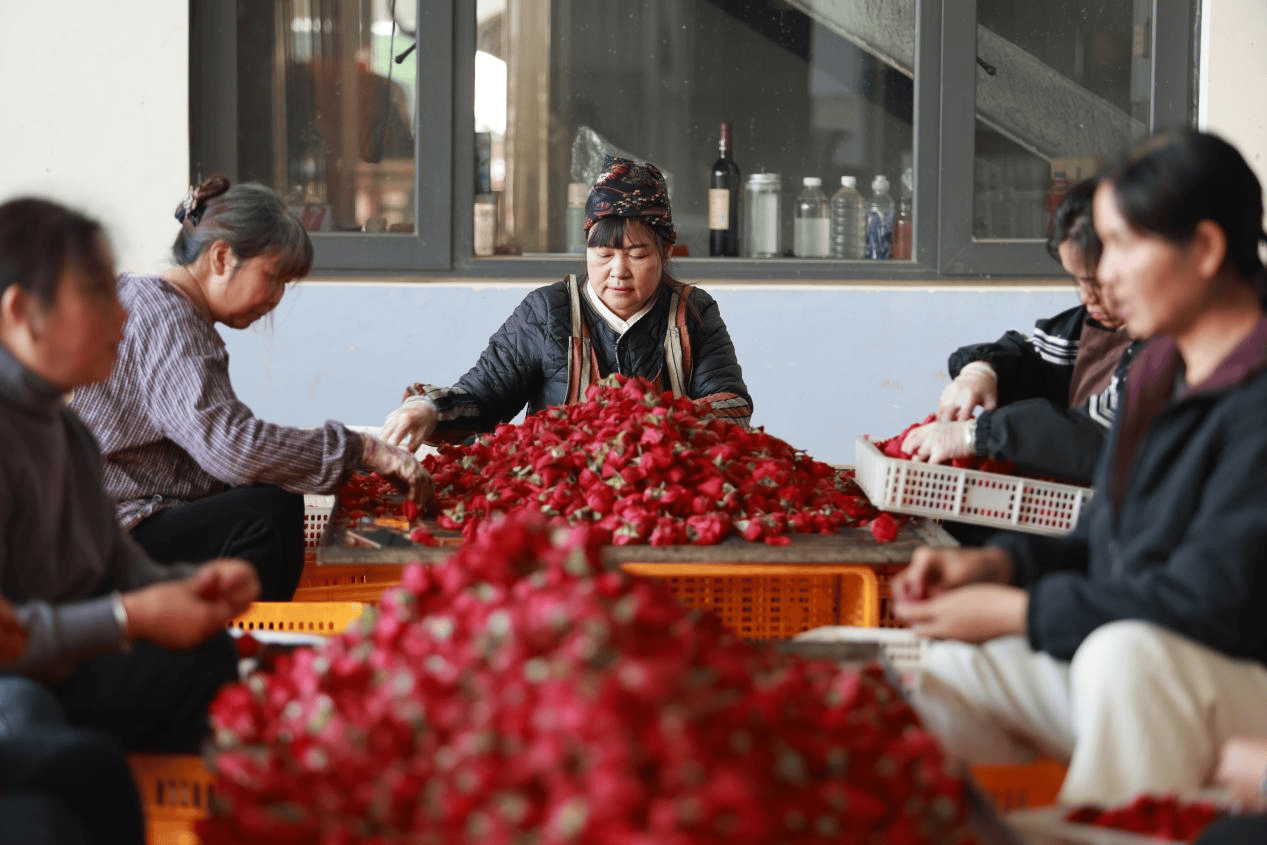布:闭店停止运营!曾拥有数千家门店……PG麻将胡了2【开屏早知道】知名品牌宣(图11) 布:闭店停止运营!曾拥有数千家门店……PG麻将胡了2【开屏早知道】知名品牌宣(图11)